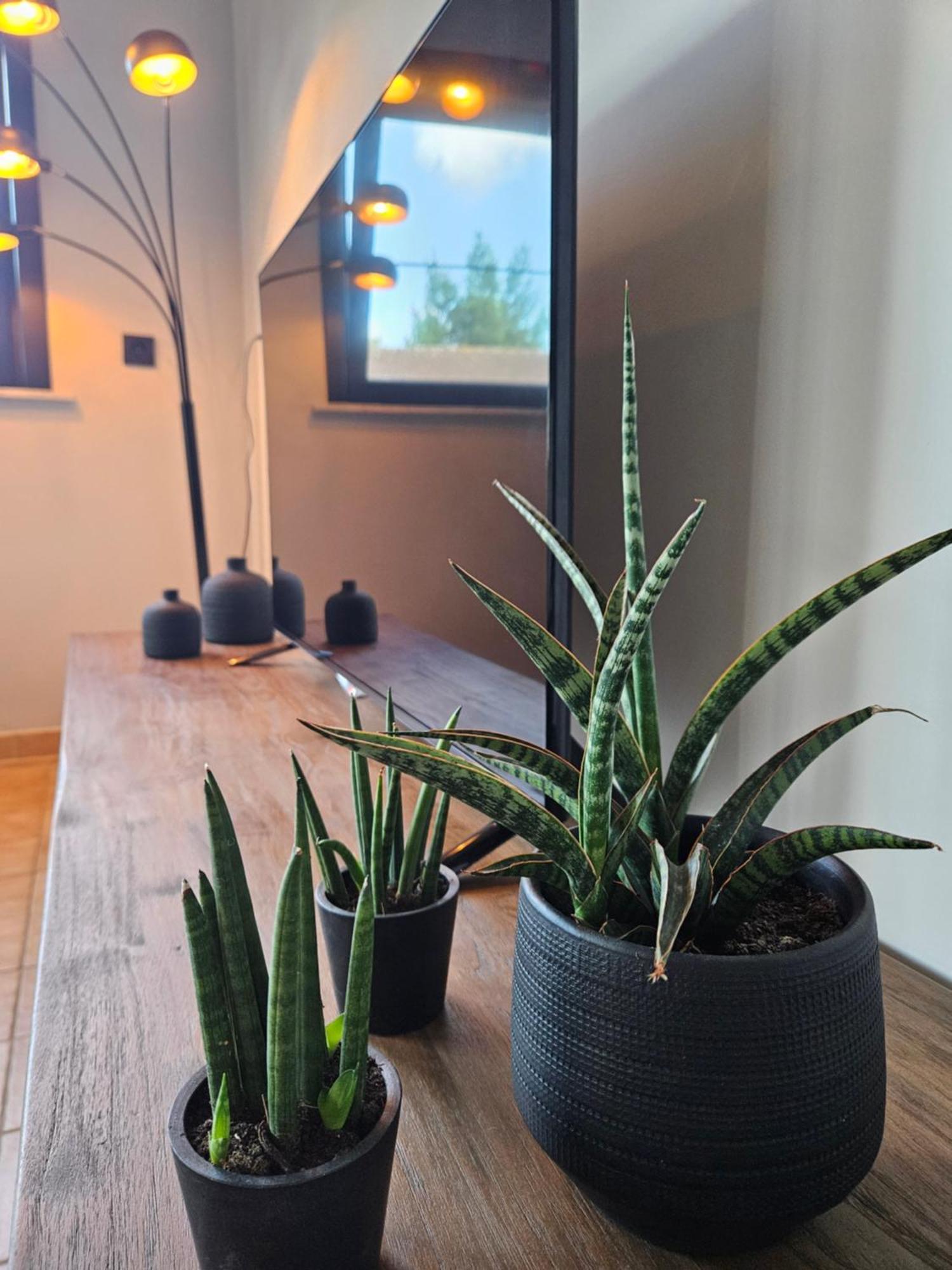 Vakantiewoning Maison Mathiz 米德尔克尔克 外观 照片
